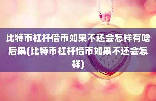 比特币杠杆借币如果不还会怎样有啥后果(比特币杠杆借币如果不还会怎样)