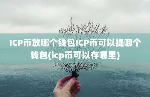 ICP币放哪个钱包ICP币可以提哪个钱包(icp币可以存哪里)