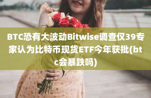 BTC恐有大波动Bitwise调查仅39专家认为比特币现货ETF今年获批(btc会暴跌吗)