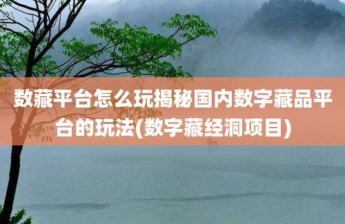 数藏平台怎么玩揭秘国内数字藏品平台的玩法(数字藏经洞项目)