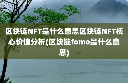 区块链NFT是什么意思区块链NFT核心价值分析(区块链fomo是什么意思)