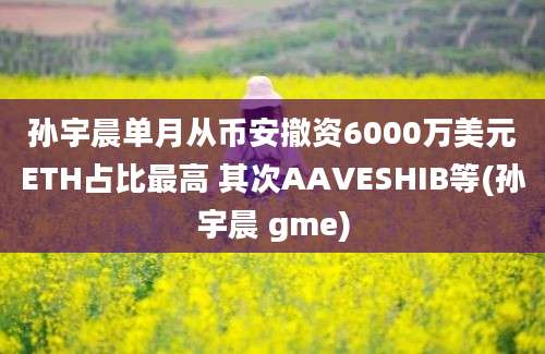 孙宇晨单月从币安撤资6000万美元ETH占比最高 其次AAVESHIB等(孙宇晨 gme)