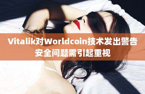 Vitalik对Worldcoin技术发出警告安全问题需引起重视