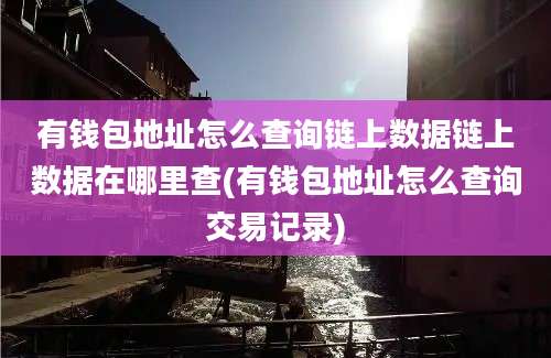 有钱包地址怎么查询链上数据链上数据在哪里查(有钱包地址怎么查询交易记录)