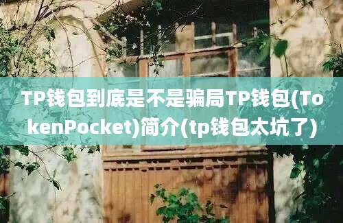 TP钱包到底是不是骗局TP钱包(TokenPocket)简介(tp钱包太坑了)