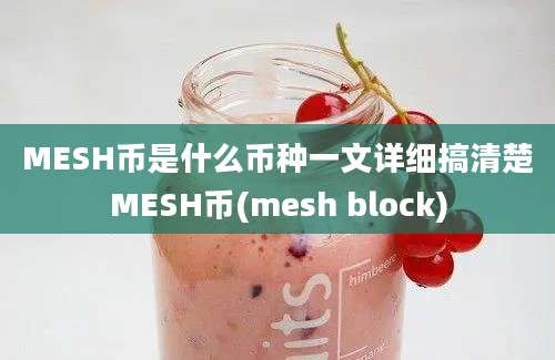 MESH币是什么币种一文详细搞清楚MESH币(mesh block)