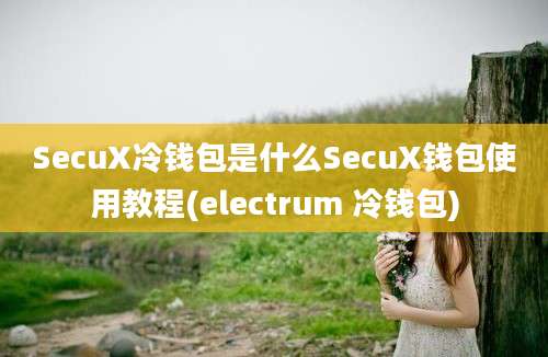 SecuX冷钱包是什么SecuX钱包使用教程(electrum 冷钱包)