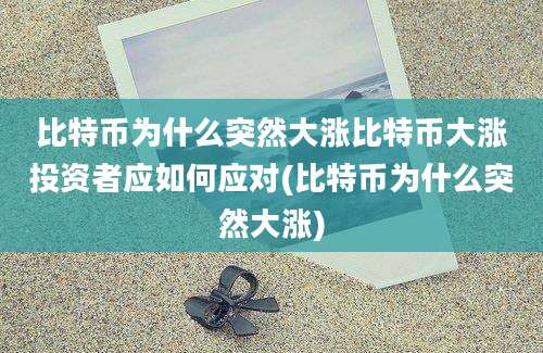 比特币为什么突然大涨比特币大涨投资者应如何应对(比特币为什么突然大涨)