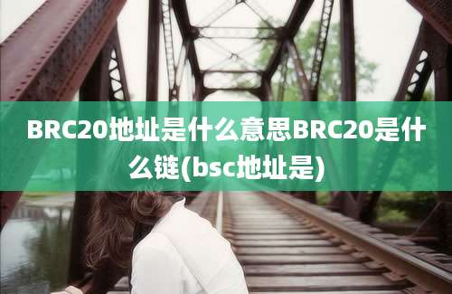 BRC20地址是什么意思BRC20是什么链(bsc地址是)