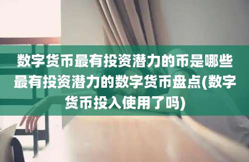 数字货币最有投资潜力的币是哪些最有投资潜力的数字货币盘点(数字货币投入使用了吗)