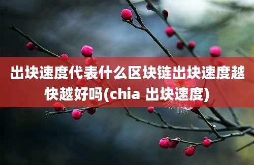 出块速度代表什么区块链出块速度越快越好吗(chia 出块速度)