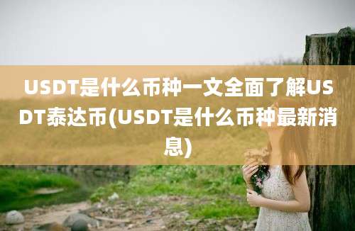 USDT是什么币种一文全面了解USDT泰达币(USDT是什么币种最新消息)