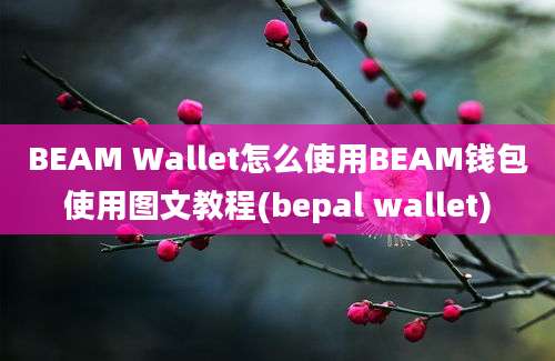 BEAM Wallet怎么使用BEAM钱包使用图文教程(bepal wallet)