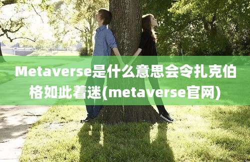 Metaverse是什么意思会令扎克伯格如此着迷(metaverse官网)