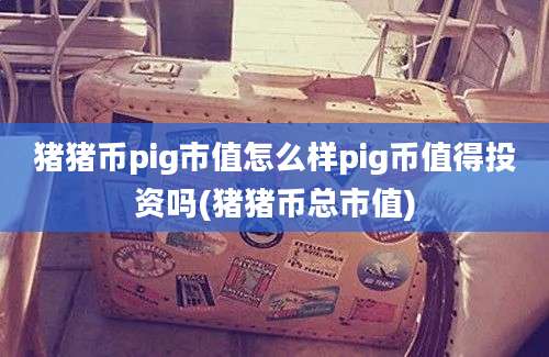 猪猪币pig市值怎么样pig币值得投资吗(猪猪币总市值)