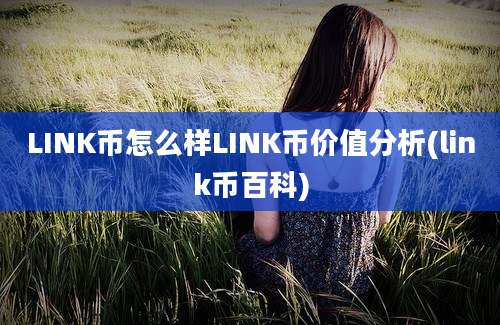 LINK币怎么样LINK币价值分析(link币百科)