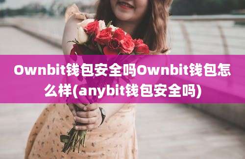 Ownbit钱包安全吗Ownbit钱包怎么样(anybit钱包安全吗)