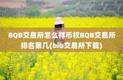 BQB交易所怎么样币权BQB交易所排名第几(bib交易所下载)