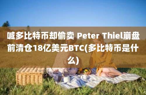 喊多比特币却偷卖 Peter Thiel崩盘前清仓18亿美元BTC(多比特币是什么)