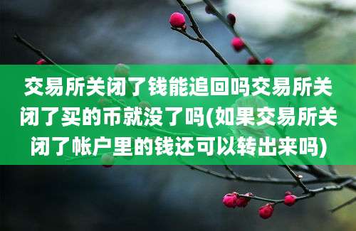 交易所关闭了钱能追回吗交易所关闭了买的币就没了吗(如果交易所关闭了帐户里的钱还可以转出来吗)