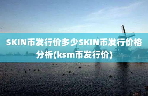 SKIN币发行价多少SKIN币发行价格分析(ksm币发行价)