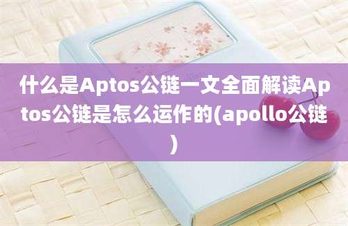 什么是Aptos公链一文全面解读Aptos公链是怎么运作的(apollo公链)