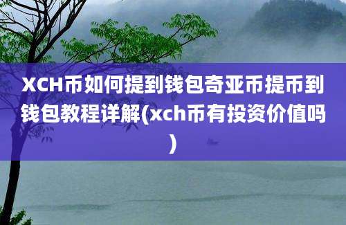 XCH币如何提到钱包奇亚币提币到钱包教程详解(xch币有投资价值吗)