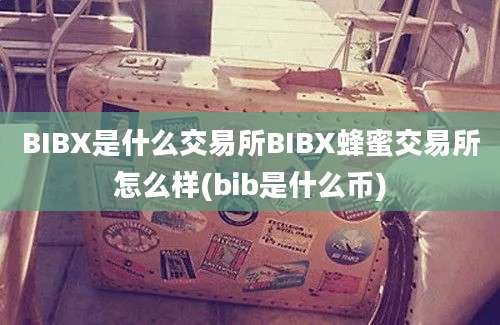 BIBX是什么交易所BIBX蜂蜜交易所怎么样(bib是什么币)