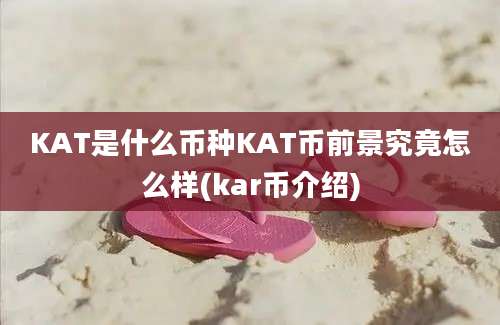 KAT是什么币种KAT币前景究竟怎么样(kar币介绍)