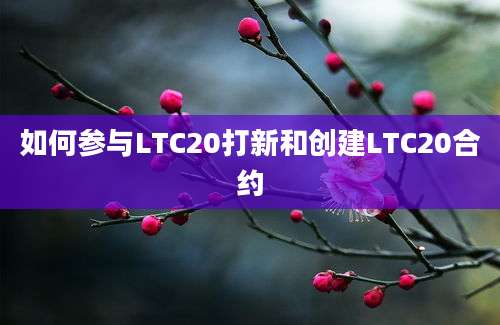 如何参与LTC20打新和创建LTC20合约