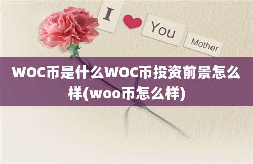 WOC币是什么WOC币投资前景怎么样(woo币怎么样)