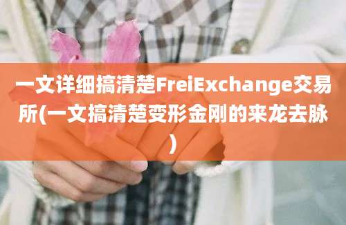 一文详细搞清楚FreiExchange交易所(一文搞清楚变形金刚的来龙去脉)