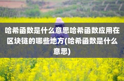 哈希函数是什么意思哈希函数应用在区块链的哪些地方(哈希函数是什么意思)