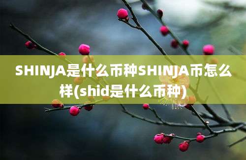 SHINJA是什么币种SHINJA币怎么样(shid是什么币种)