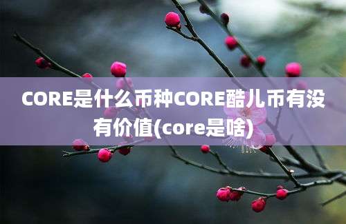 CORE是什么币种CORE酷儿币有没有价值(core是啥)