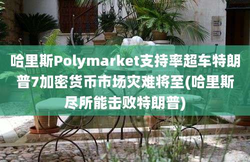 哈里斯Polymarket支持率超车特朗普7加密货币市场灾难将至(哈里斯尽所能击败特朗普)