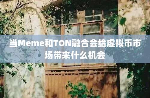 当Meme和TON融合会给虚拟币市场带来什么机会