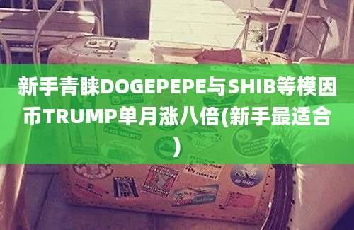 新手青睐DOGEPEPE与SHIB等模因币TRUMP单月涨八倍(新手最适合)