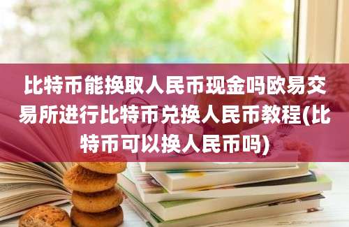 比特币能换取人民币现金吗欧易交易所进行比特币兑换人民币教程(比特币可以换人民币吗)