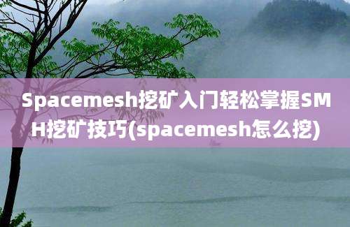 Spacemesh挖矿入门轻松掌握SMH挖矿技巧(spacemesh怎么挖)