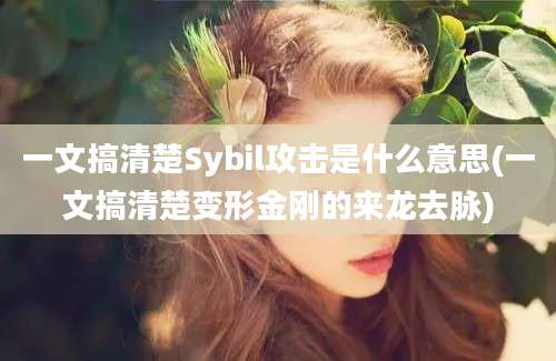 一文搞清楚Sybil攻击是什么意思(一文搞清楚变形金刚的来龙去脉)