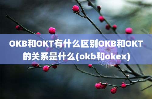 OKB和OKT有什么区别OKB和OKT的关系是什么(okb和okex)