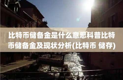 比特币储备金是什么意思科普比特币储备金及现状分析(比特币 储存)