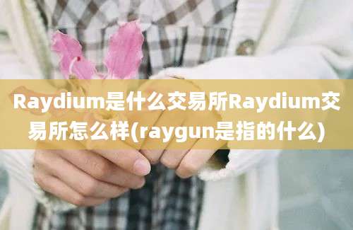 Raydium是什么交易所Raydium交易所怎么样(raygun是指的什么)