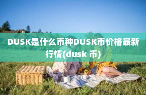 DUSK是什么币种DUSK币价格最新行情(dusk 币)