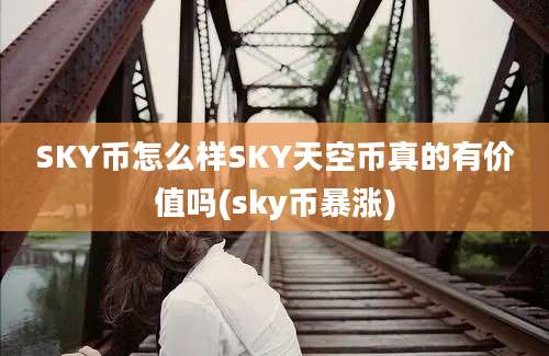 SKY币怎么样SKY天空币真的有价值吗(sky币暴涨)