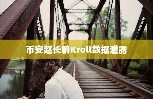 币安赵长鹏Kroll数据泄露