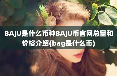 BAJU是什么币种BAJU币官网总量和价格介绍(bag是什么币)