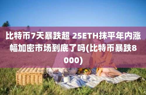 比特币7天暴跌超 25ETH抹平年内涨幅加密市场到底了吗(比特币暴跌8000)