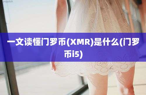 一文读懂门罗币(XMR)是什么(门罗币i5)